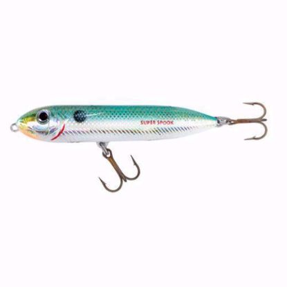 Lake Fork Shad Heddon Super Spook JR Jeco's Marine Port O'Connor, Texas