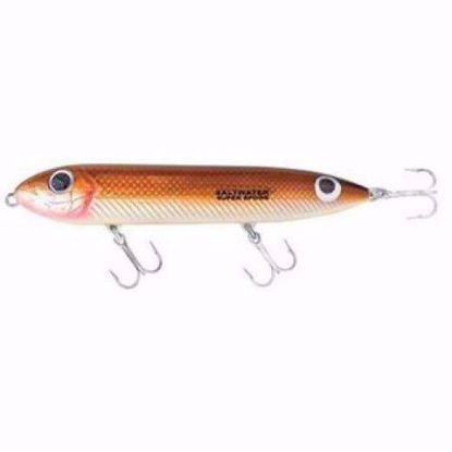 Redfish Heddon Super Spook JR Jeco's Marine Port O'Connor, Texas
