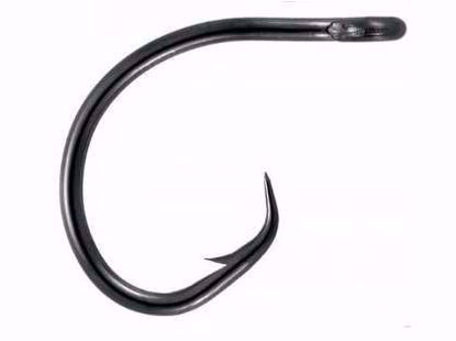  Demon Perfect Circle Wide Gap Inline Hook-3X Strong Mustad Cirlcle Hook Jeco's Marine Port O'Connor, Texas