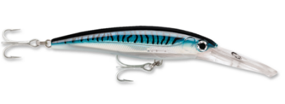 Silver Blue Mackerel Rapala Saltwater X-Rap Magnum Dive Bait Silver Blue Mackerel Jeco's Marine Port O'Connor, Texas