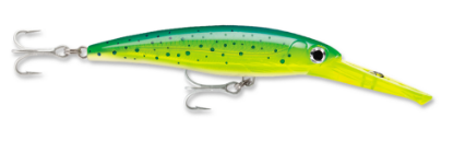 Dorado Rapala Saltwater X-Rap Magnum Dive Bait Dorado Jeco's Marine Port O'Connor, Texas