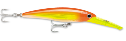 Hot Head Rapala Saltwater X-Rap Magnum Dive Bait Hot Head Jeco's Marine Port O'Connor, Texas