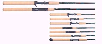 Coastal Clear Water Falcon Inshore Spinning Rod Jeco's Marine Port O'Connor, Texas