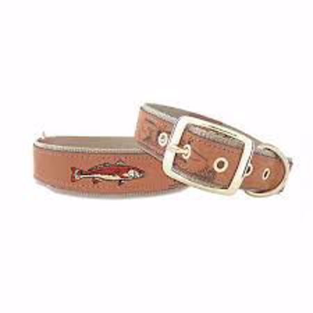 Picture for category Collar & Leashes