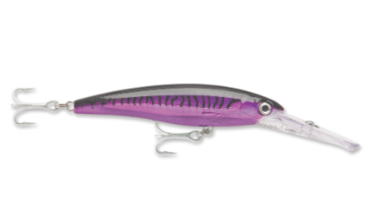 Purple Mackerel Rapala Saltwater X-Rap Magnum Dive Bait  Jeco's Marine Port O'Connor, Texas