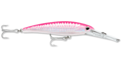 Hot Pink UV Rapala Saltwater X-Rap Magnum Dive Bait  Jeco's Marine Port O'Connor, Texas