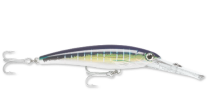 Sailfish UV Rapala Saltwater X-Rap Magnum Dive Bait  Jeco's Marine Port O'Connor, Texas