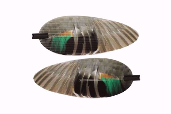Mojo Outdoors - Elite Series Green Wing Teal Wing