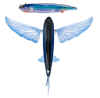 Nomad Designs - SlipStream Flying Fish 140 