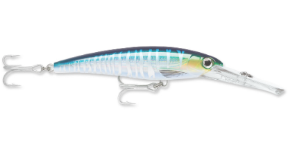 Wahoo UV Rapala Saltwater X-Rap Magnum Dive Bait Jeco's Marine Port O'Connor, Texas