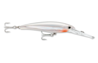 Glass Ghost Rapala Saltwater X-Rap Magnum Dive Bait Jeco's Marine Port O'Connor, Texas