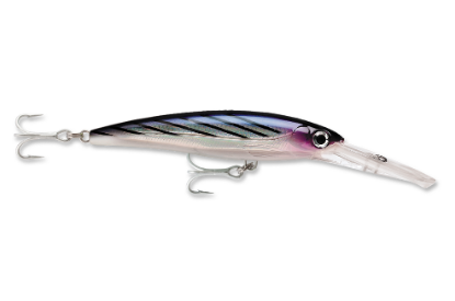 Bonita Rapala Saltwater X-Rap Magnum Dive Bait Jeco's Marine Port O'Connor, Texas