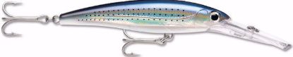 Spotted Minnow Rapala Saltwater X-Rap Magnum Dive Bait Jeco's Marine Port O'Connor, Texas