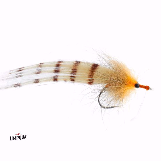 Umpqua - Punisher Tarpon Chicone 