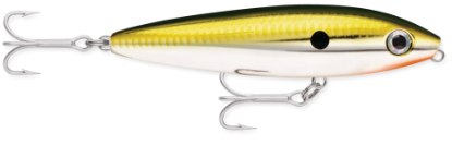 	Rapala Saltwater Skitter Walk Jeco's Marine Port O'Connor, Texas