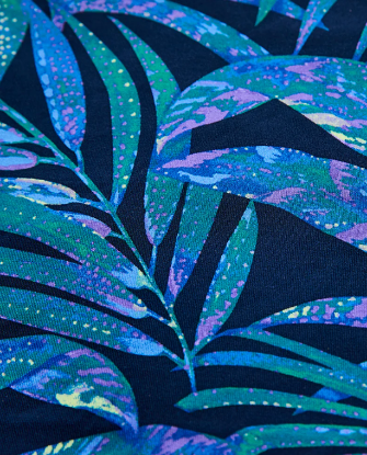 Carve design - Stinson Bottom - Blue Oasis