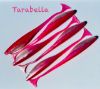 Kingdom Baits - El Camaron 5.5" Lure