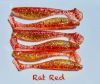 Kingdom Baits - 4" Swimbait (More Color Options)