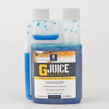 TH Marine G Juice Livewells & Accessories Jeco's Marine Port O'Connor, Texas